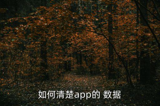 如何清楚app的 數(shù)據(jù)