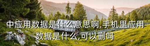 手機中應(yīng)用數(shù)據(jù)是什么意思啊,手機里應(yīng)用數(shù)據(jù)是什么,可以刪嗎?