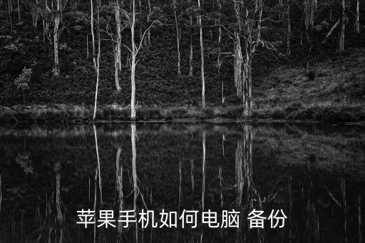 iphone6怎么備份數(shù)據(jù)