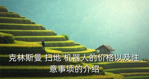 克林斯曼 掃地 機(jī)器人的價(jià)格以及注意事項(xiàng)的介紹