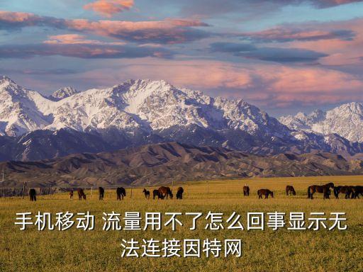 為什么不能用移動(dòng)數(shù)據(jù)流量上網(wǎng),移動(dòng)數(shù)據(jù)流量為什么那么卡