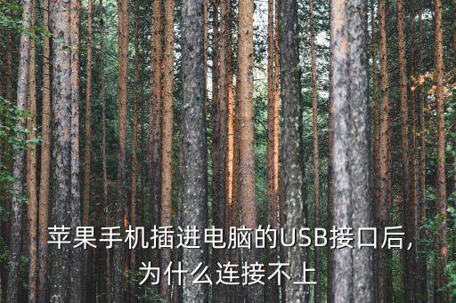  蘋果手機(jī)插進(jìn)電腦的USB接口后,為什么連接不上