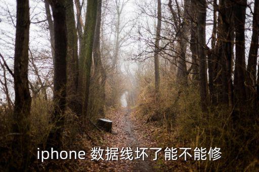 iphone 數(shù)據(jù)線壞了能不能修