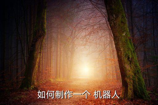 如何制作一個(gè) 機(jī)器人