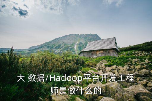 首席數(shù)據(jù)師 劇透