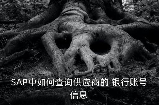 SAP中如何查詢供應商的 銀行賬號信息