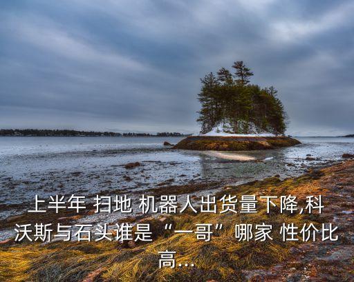 上半年 掃地 機(jī)器人出貨量下降,科沃斯與石頭誰是“一哥”哪家 性價(jià)比高...