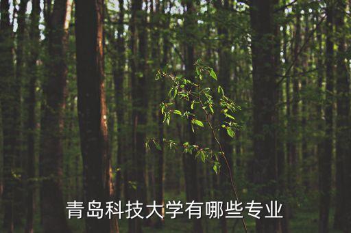 青科大自動化學(xué)院,內(nèi)科大自動化學(xué)院李文濤