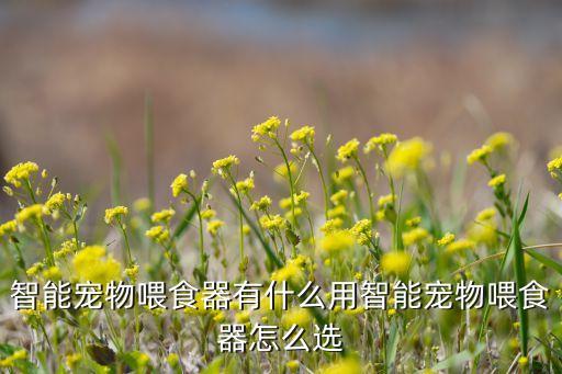 智能寵物喂食器有什么用智能寵物喂食器怎么選