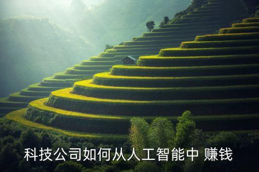 科技公司如何從人工智能中 賺錢(qián)