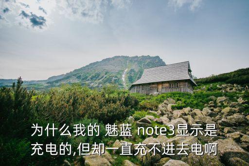 為什么我的 魅藍 note3顯示是充電的,但卻一直充不進去電啊