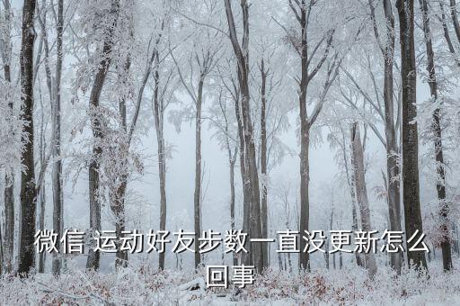  微信 運(yùn)動(dòng)好友步數(shù)一直沒(méi)更新怎么回事