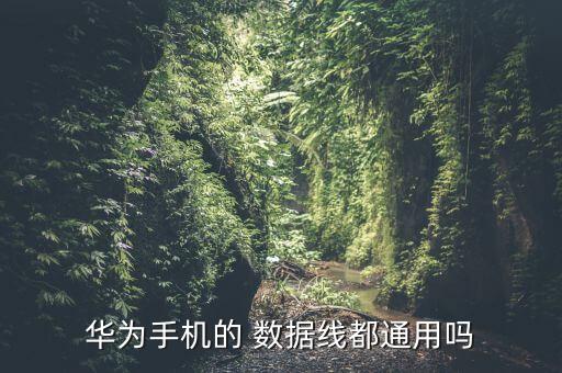 華為手機(jī)的 數(shù)據(jù)線都通用嗎