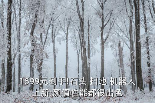 1699元到手!石頭 掃地 機(jī)器人上新:顏值性能都很出色