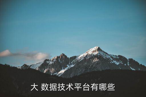 大 數(shù)據(jù)技術(shù)平臺(tái)有哪些