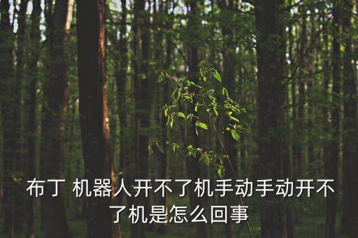  布丁 機器人開不了機手動手動開不了機是怎么回事