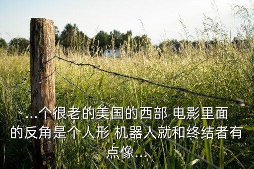 ...個(gè)很老的美國(guó)的西部 電影里面的反角是個(gè)人形 機(jī)器人就和終結(jié)者有點(diǎn)像...
