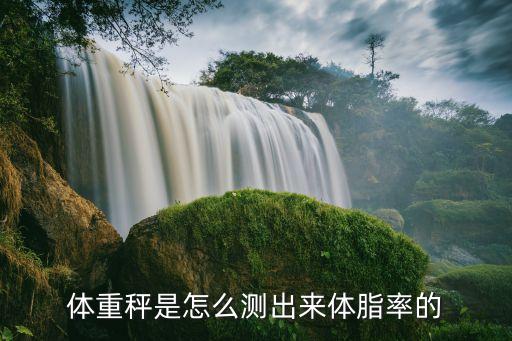 inbody數(shù)據(jù)準(zhǔn)么,Inbody準(zhǔn)不準(zhǔn)