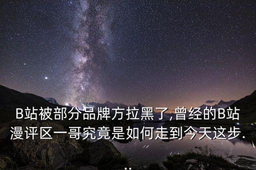 b站二次元數(shù)據(jù),2020二次元行業(yè)數(shù)據(jù)