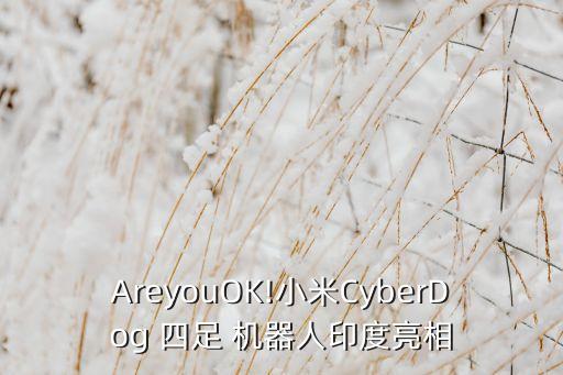 AreyouOK!小米CyberDog 四足 機(jī)器人印度亮相