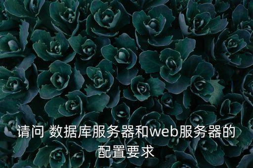 請問 數(shù)據(jù)庫服務(wù)器和web服務(wù)器的配置要求