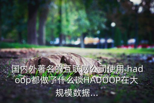 國內(nèi)外著名的互聯(lián)網(wǎng)公司使用 hadoop都做了什么談HADOOP在大規(guī)模數(shù)據(jù)...