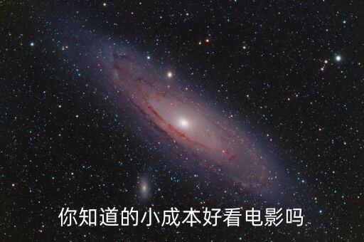 你知道的小成本好看電影嗎