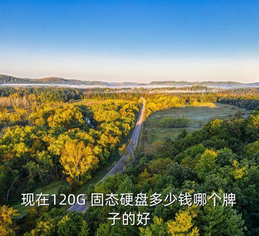 現(xiàn)在120G 固態(tài)硬盤多少錢哪個牌子的好