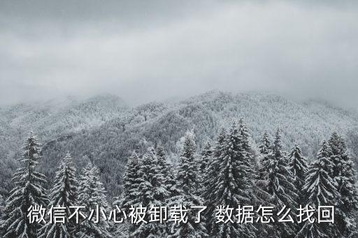 微信如何恢復(fù)數(shù)據(jù),重新裝了微信如何恢復(fù)數(shù)據(jù)