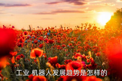 工業(yè)機(jī)器人未來