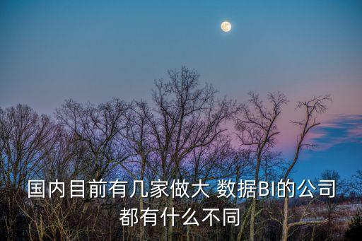 國內(nèi)目前有幾家做大 數(shù)據(jù)BI的公司都有什么不同