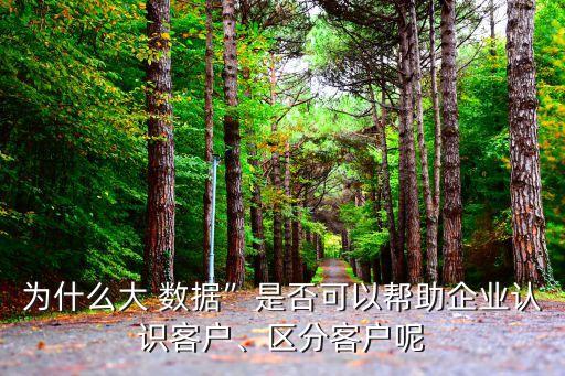 為什么大 數(shù)據(jù)”是否可以幫助企業(yè)認(rèn)識客戶、區(qū)分客戶呢