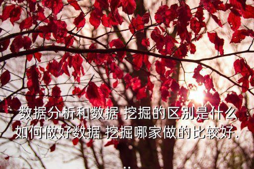  數(shù)據(jù)分析和數(shù)據(jù) 挖掘的區(qū)別是什么如何做好數(shù)據(jù) 挖掘哪家做的比較好...