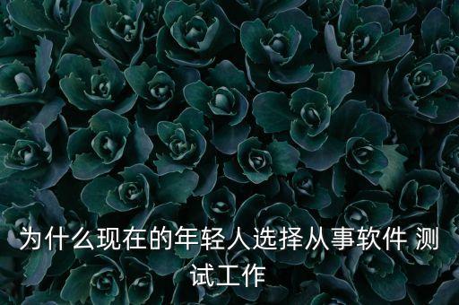 為什么現(xiàn)在的年輕人選擇從事軟件 測試工作