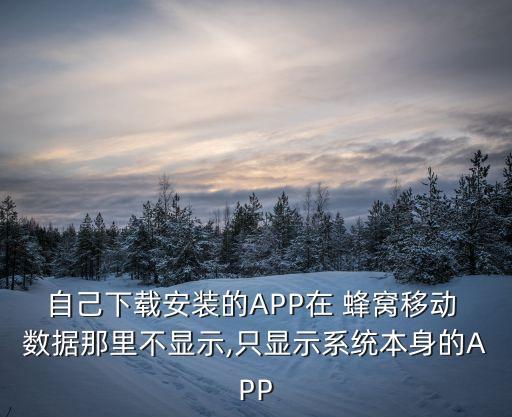 自己下載安裝的APP在 蜂窩移動(dòng) 數(shù)據(jù)那里不顯示,只顯示系統(tǒng)本身的APP