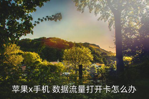 iphone蜂窩數(shù)據(jù)很慢,蘋果11蜂窩數(shù)據(jù)慢怎么辦