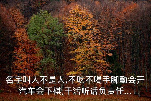 名字叫人不是人,不吃不喝手腳勤會開汽車會下棋,干活聽話負責任...