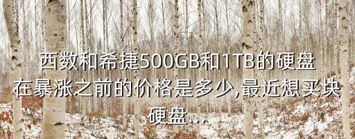 西部數(shù)據(jù)中國制造
