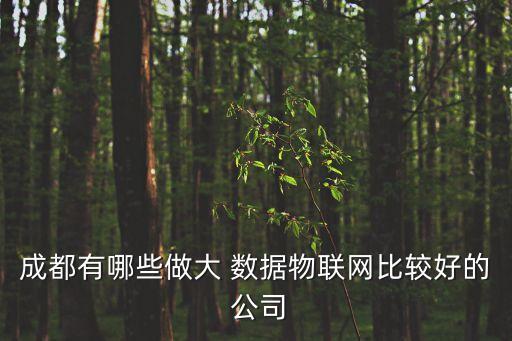 成都有哪些做大 數(shù)據(jù)物聯(lián)網(wǎng)比較好的 公司