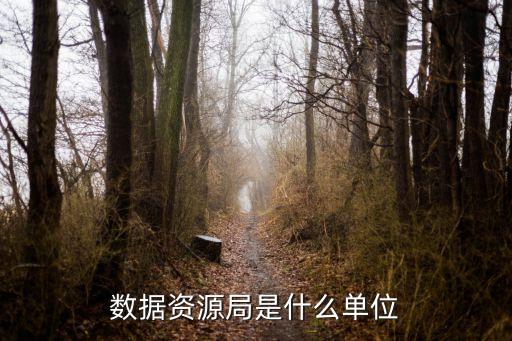 數(shù)據(jù)中心部門,大數(shù)據(jù)中心下設(shè)部門