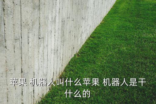 蘋果 機(jī)器人叫什么蘋果 機(jī)器人是干什么的
