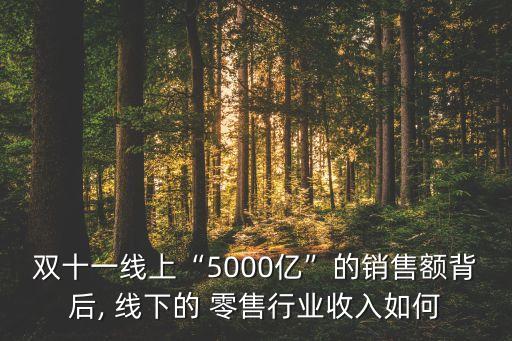 雙十一線上“5000億”的銷售額背后, 線下的 零售行業(yè)收入如何