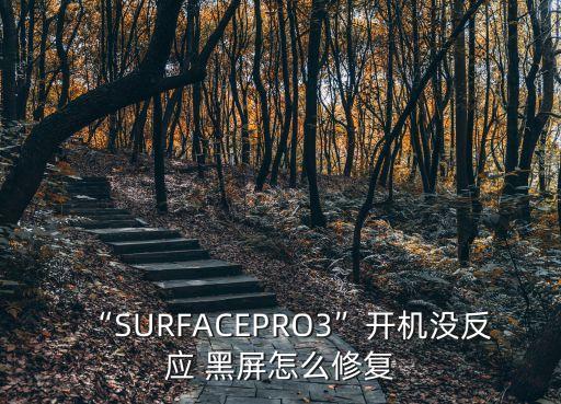 “SURFACEPRO3”開機沒反應 黑屏怎么修復