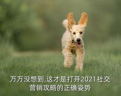 萬(wàn)萬(wàn)沒(méi)想到,這才是打開2021社交營(yíng)銷攻略的正確姿勢(shì)