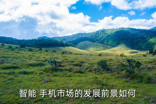 工信部2017手機數(shù)據(jù),2017年工信部劃型標準
