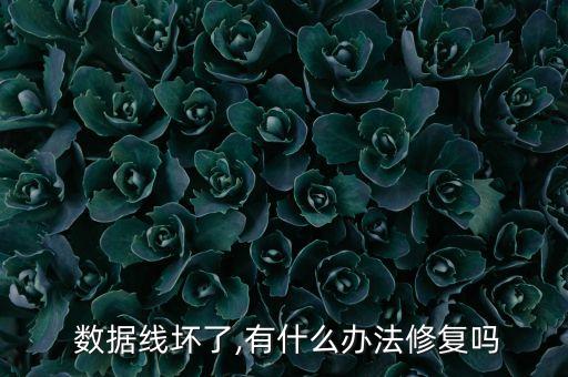數(shù)據(jù)線皮子破了怎么辦,鞋的皮子破了怎么辦