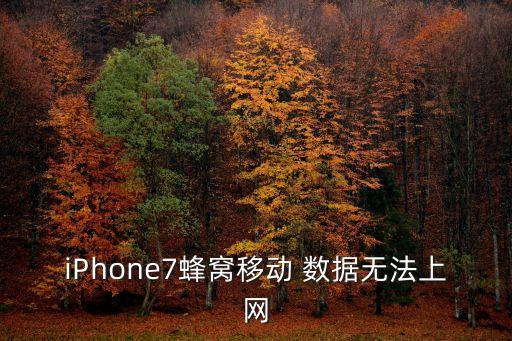iPhone7蜂窩移動(dòng) 數(shù)據(jù)無法上網(wǎng)