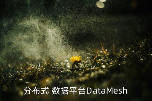 分布式 數(shù)據(jù)平臺(tái)DataMesh