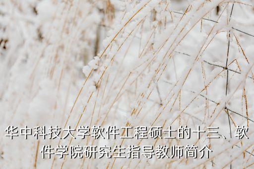 華中科技大學(xué)軟件工程碩士的十三、軟件學(xué)院研究生指導(dǎo)教師簡(jiǎn)介