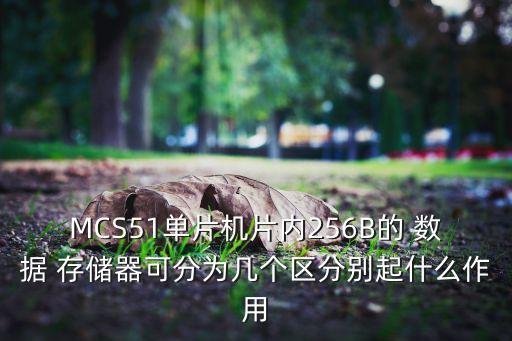 MCS51單片機(jī)片內(nèi)256B的 數(shù)據(jù) 存儲(chǔ)器可分為幾個(gè)區(qū)分別起什么作用